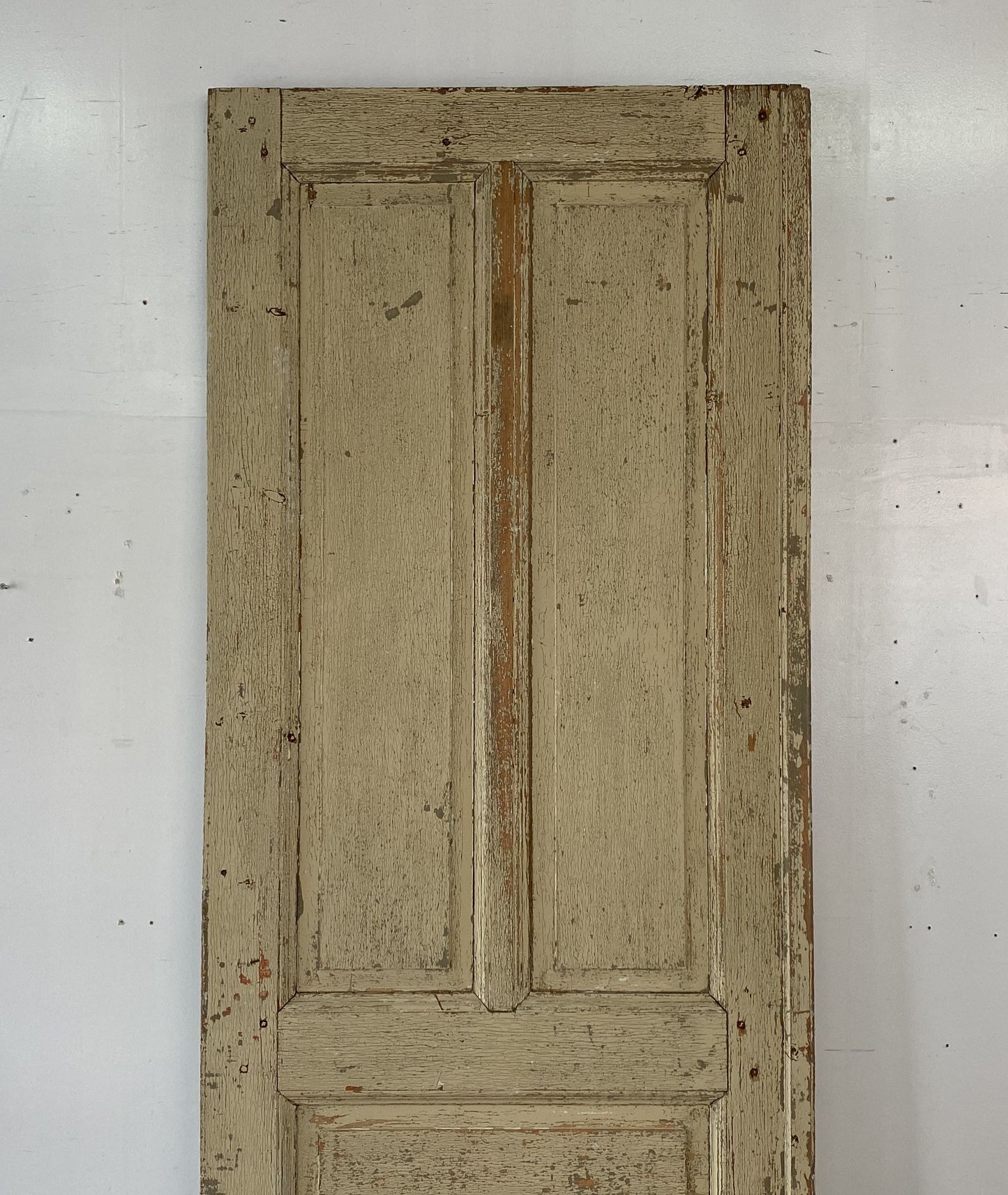 french panel door